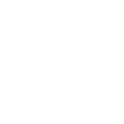 PTT 실시간 그룹통화 아이콘